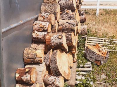 Firewood