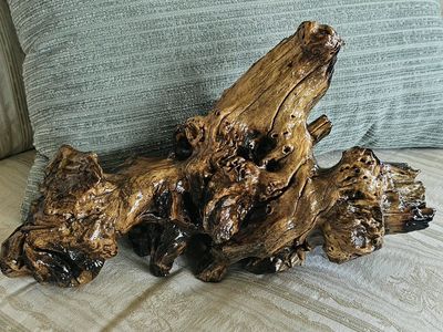 Polished Natural Wood Burl Sculpture Rustic Tabletop Decor 16"×8"