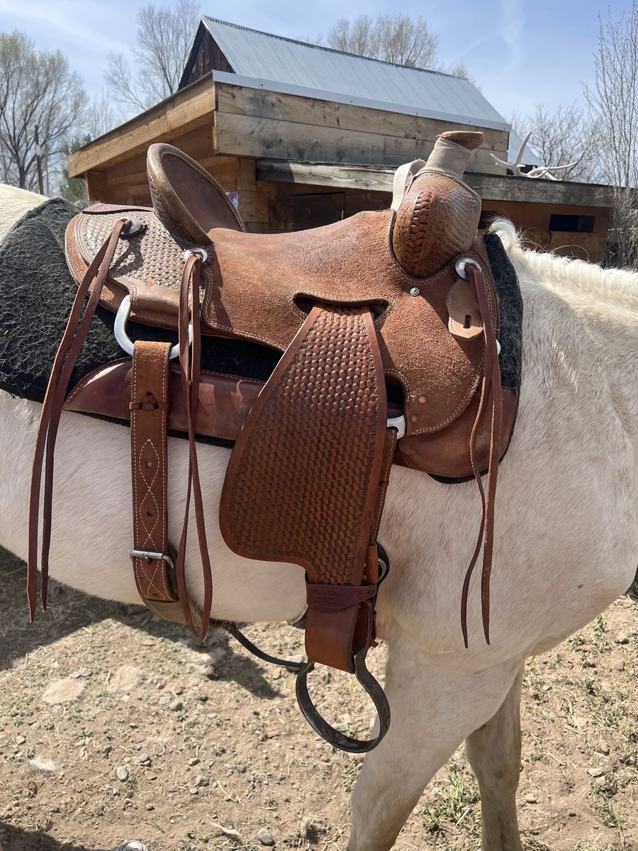 Robert Teskey 16" Saddle