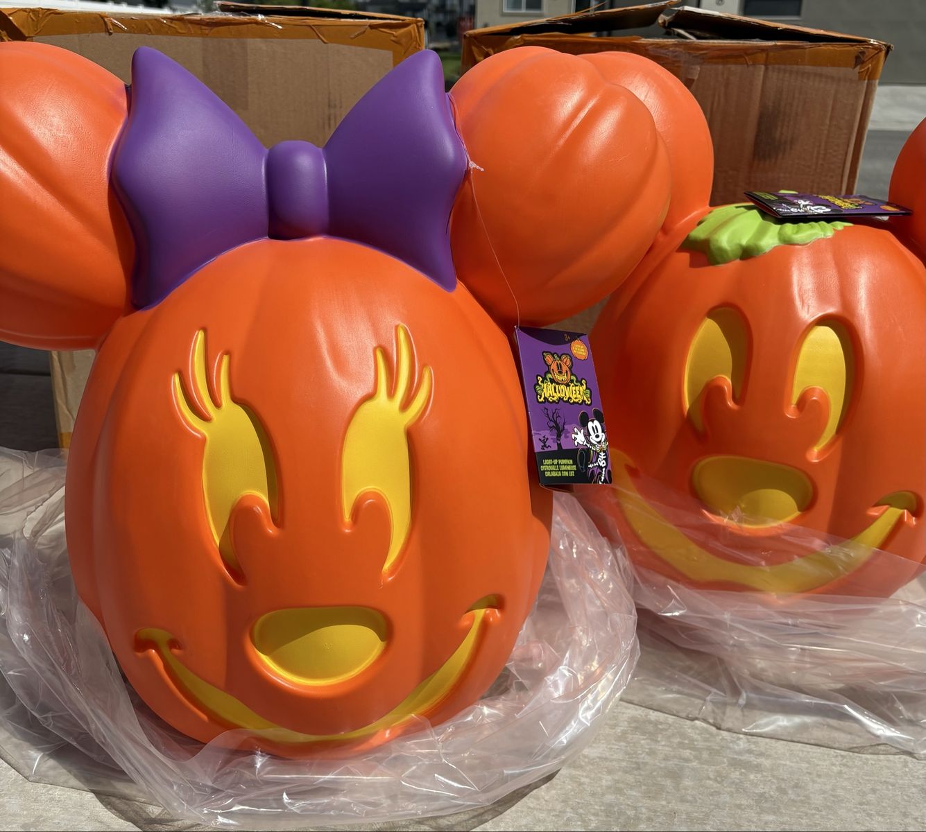 Disneyland Halloween Giant Mickey & Minnie Mouse Light-Up Blow Up Mold Pumpkin Jack-o'-Lanterns. New so cute!