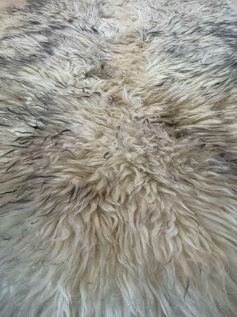 Main image 2