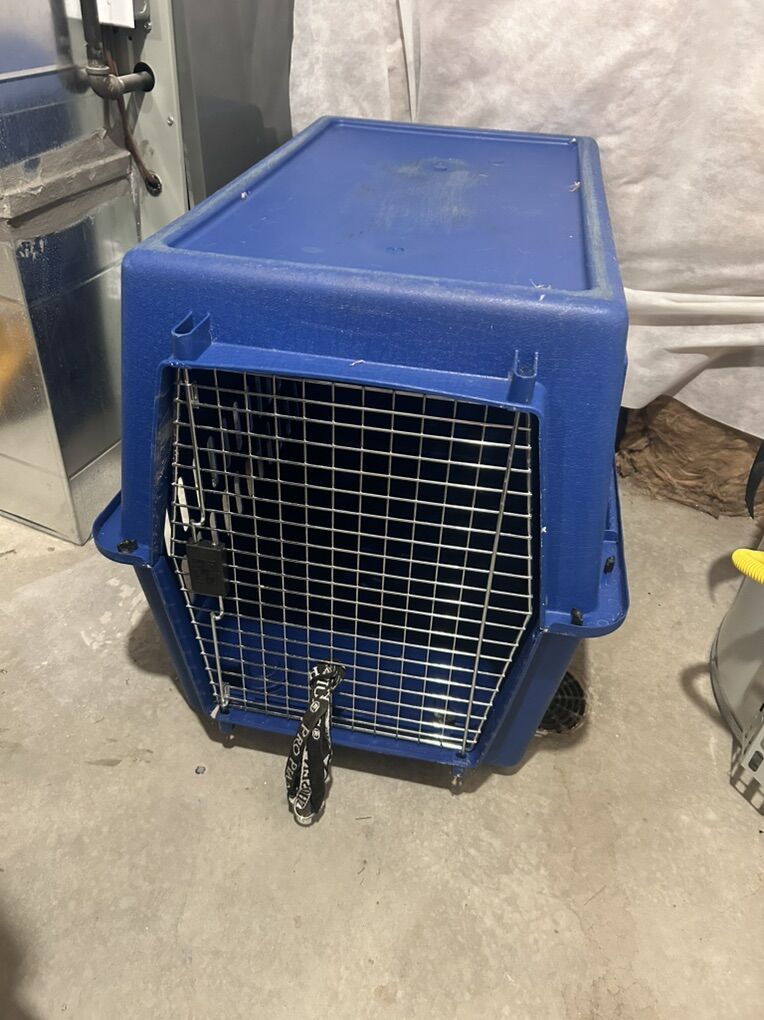 Dog Kennel
