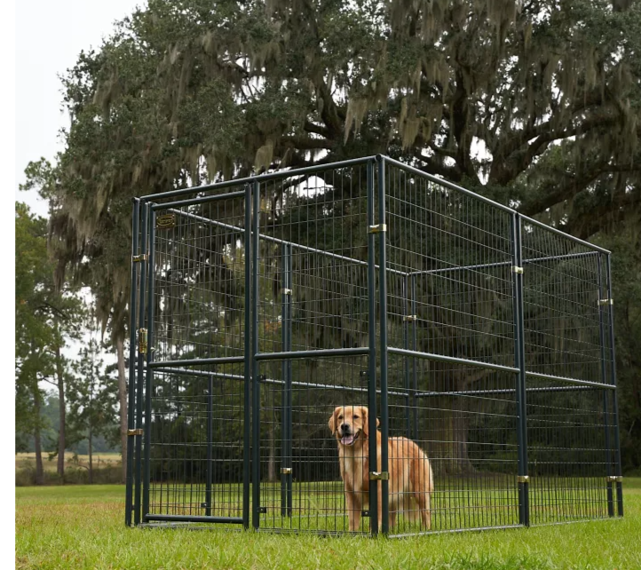 Retriever Dog Kennel/Dog Run