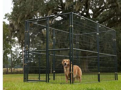 Retriever Dog Kennel/Dog Run
