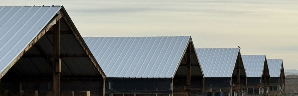 Used 29g Metal Roofing