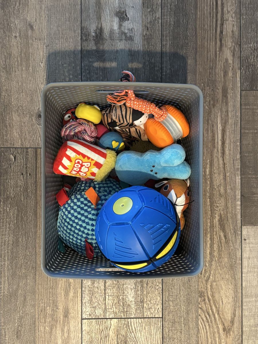 Dog Toy Bundle