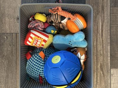 Dog Toy Bundle