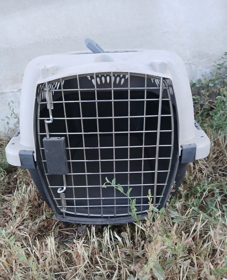 Main image 5