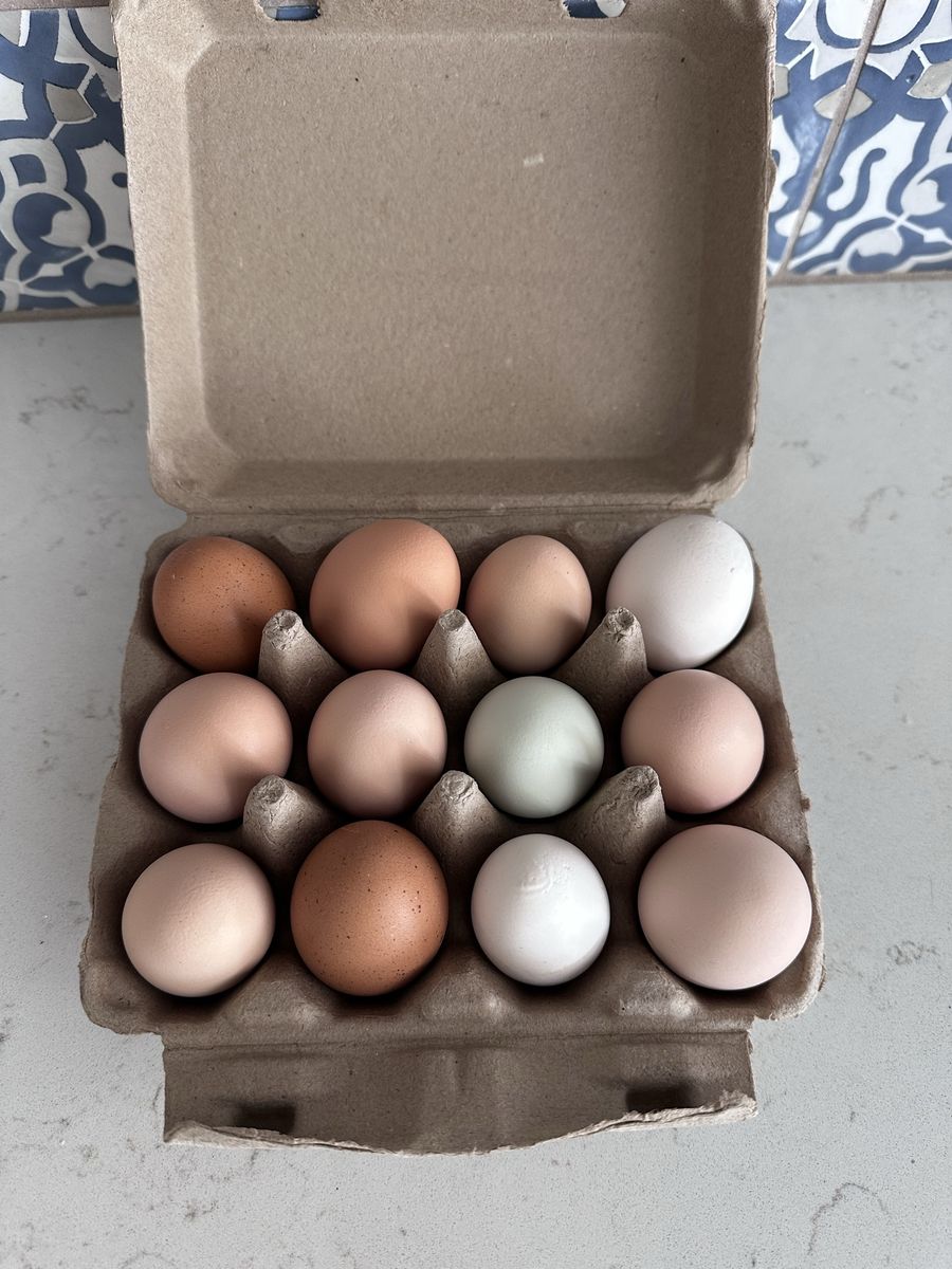 Farm Fresh Eggs