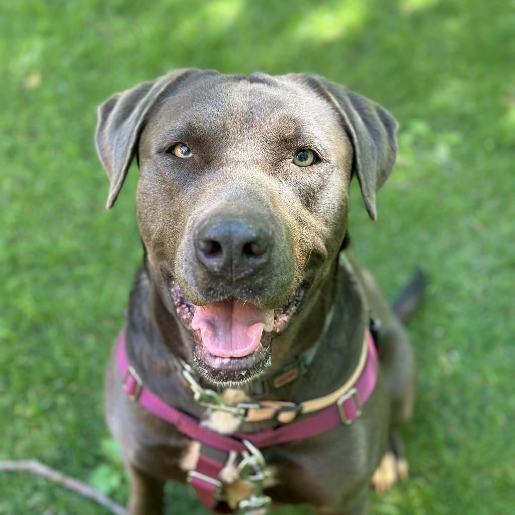 Hello my name is Hope