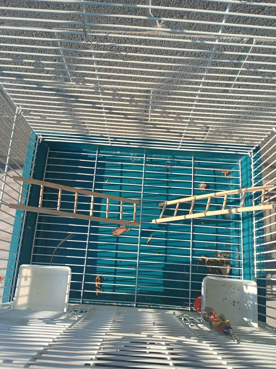 Main image 4