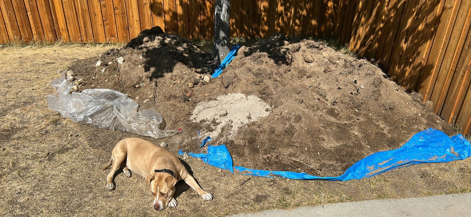 Free world famous Sandy dirt