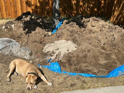 Free world famous Sandy dirt