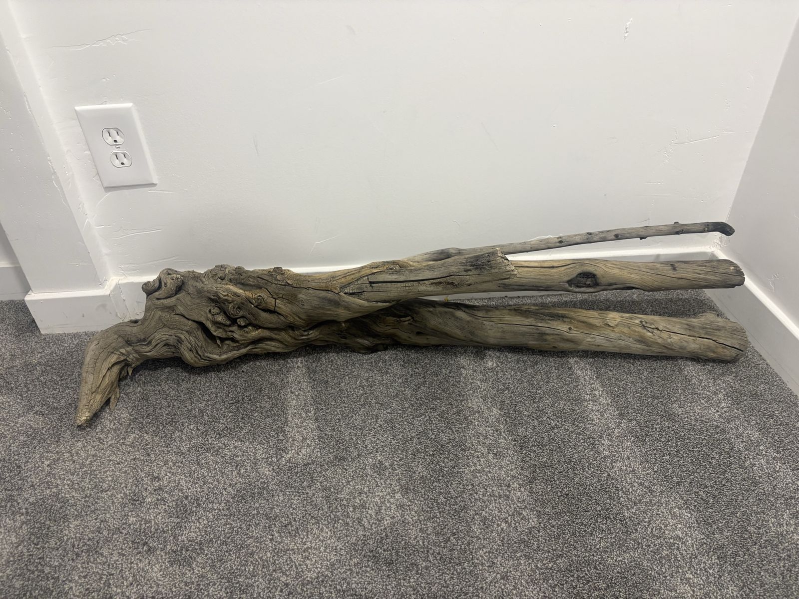 Large Driftwood
