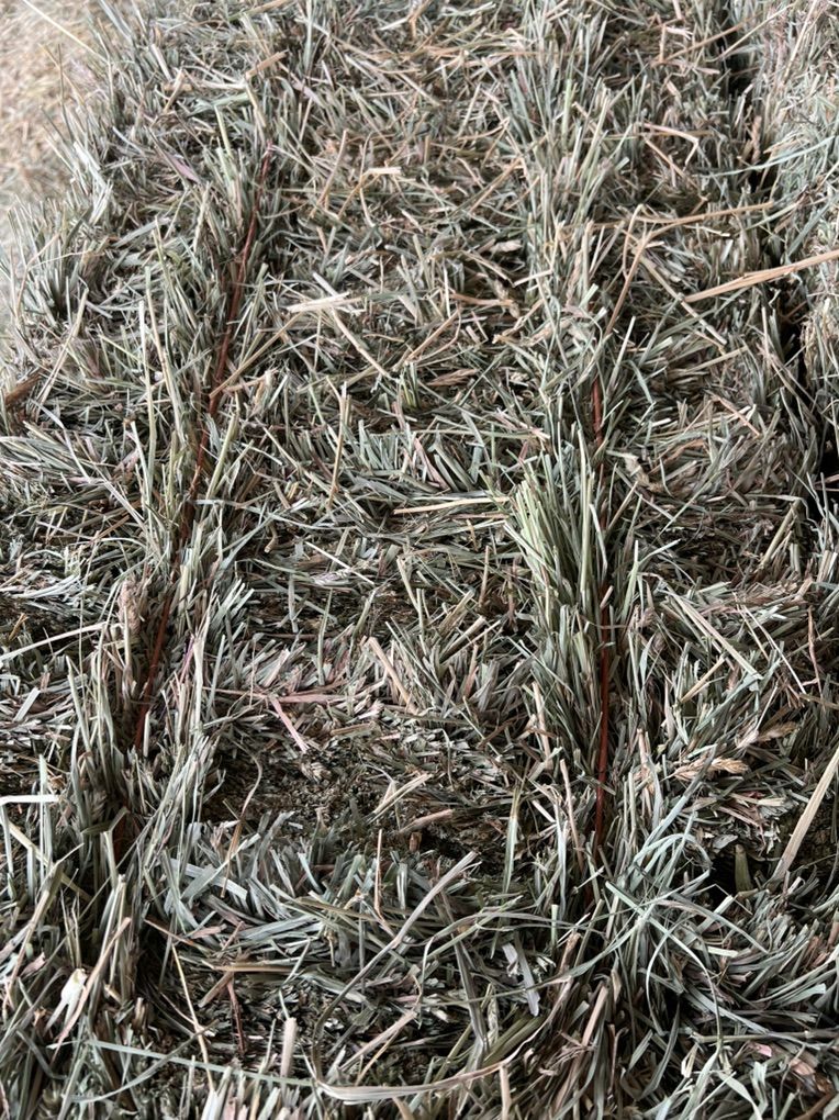 Main image 2