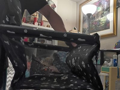 Black Pet car Carrier with Paw Print & Bone Design, Mesh Sides,