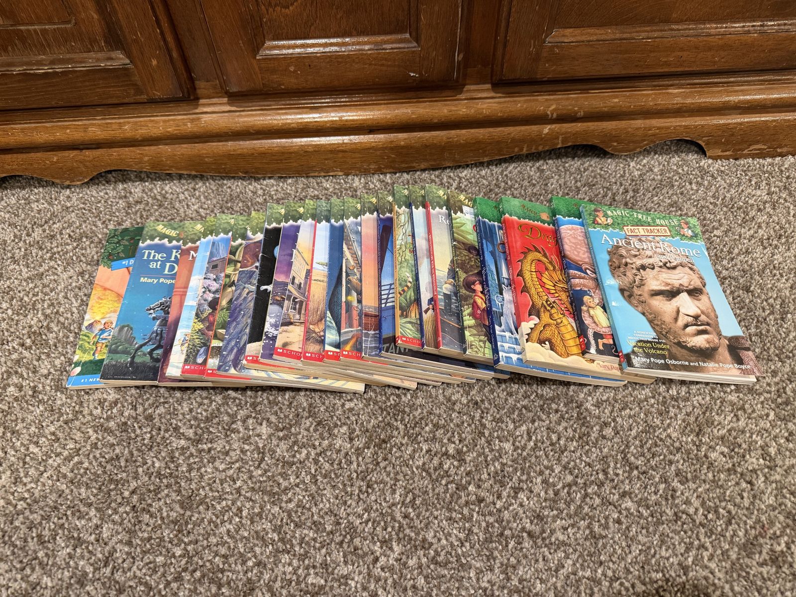 Magic Tree House Book Lot - Adventure & Fact Tracker Series by Mary Pope Osborne - 20+ Children's Books