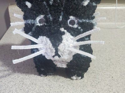 I made a cat decoration