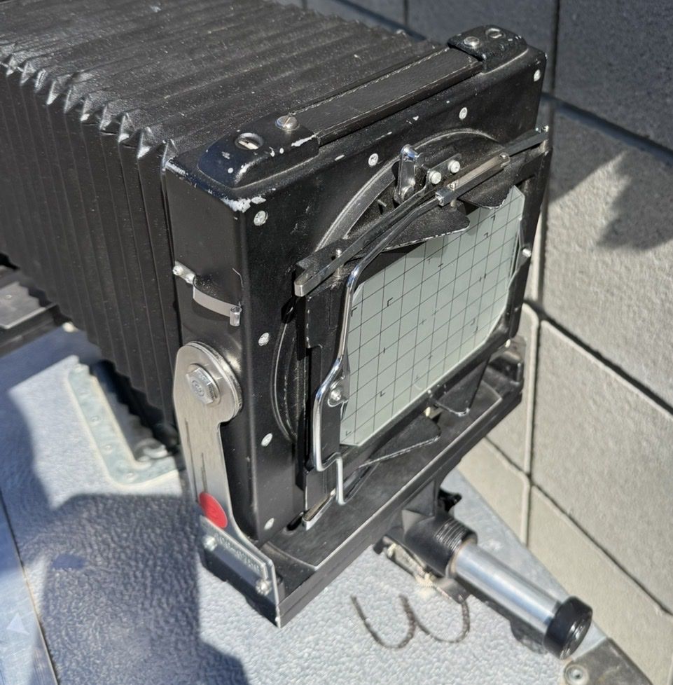 Main image 6