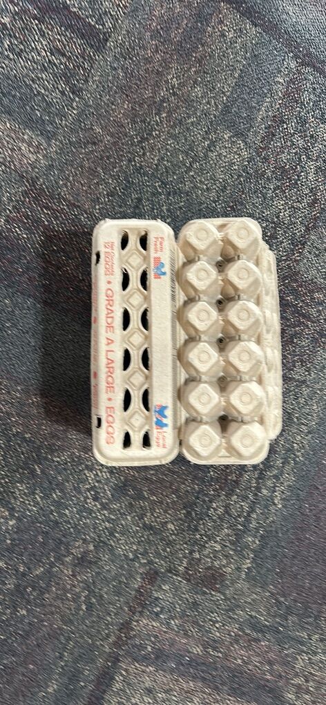 New Egg Cartons