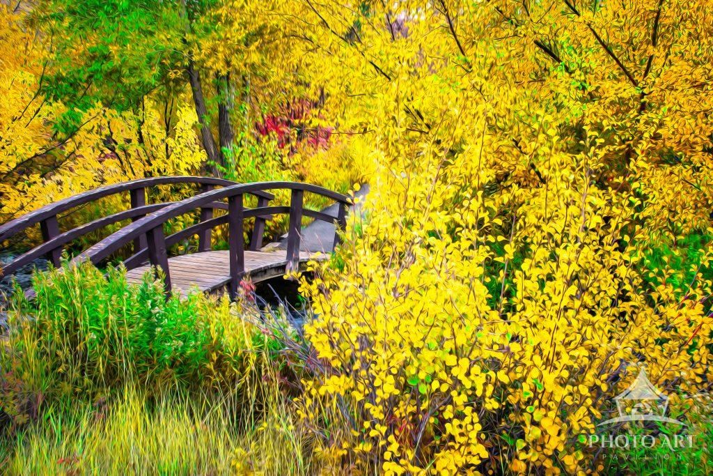 Bridge Over Water Photo Art Print