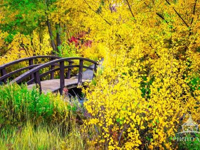 Bridge Over Water Photo Art Print