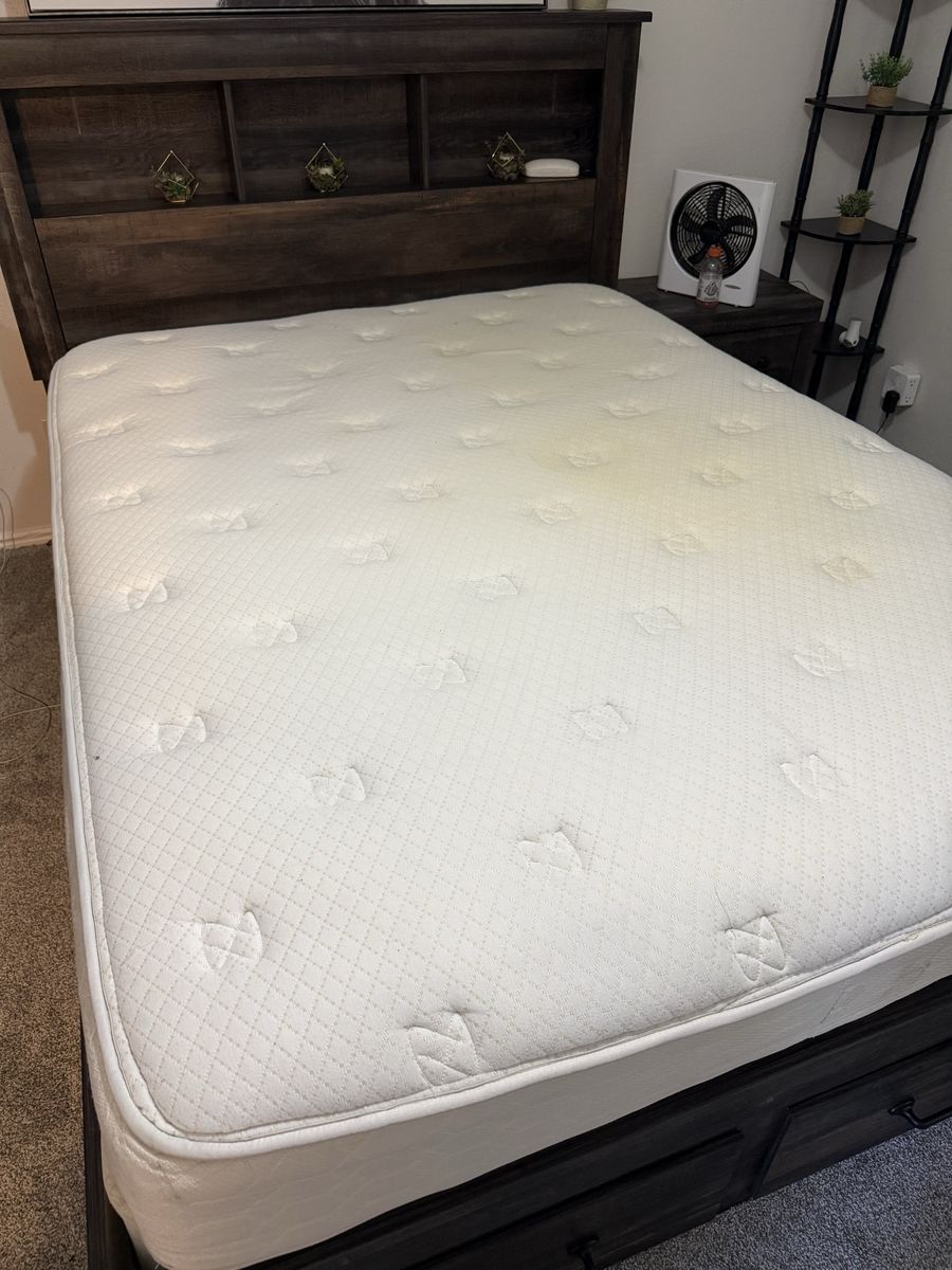Free queen mattress