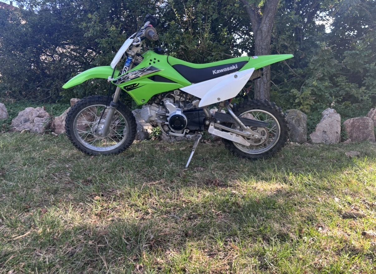 2019 Kawasaki KLX 110/TimberSled