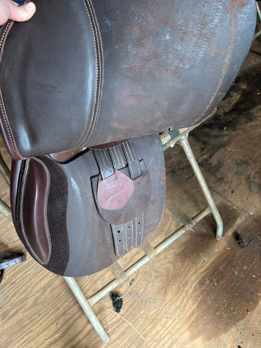 HDR 16” saddle