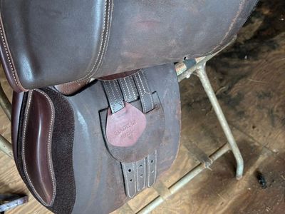HDR 16” saddle