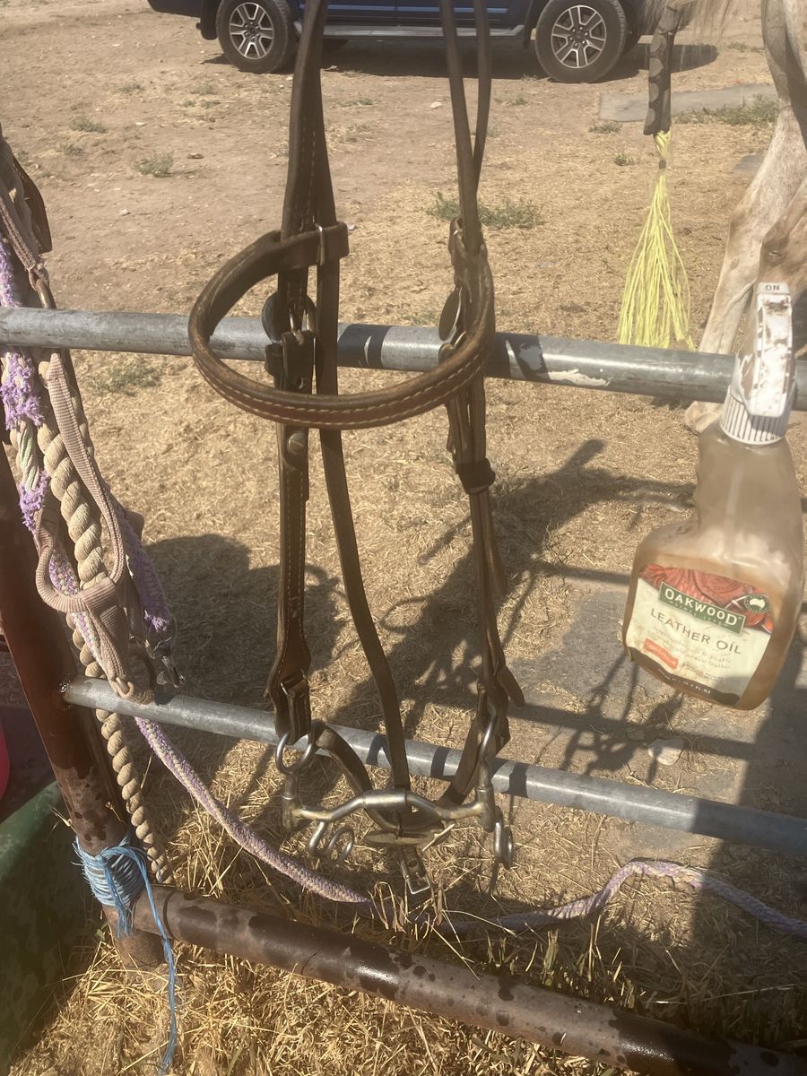 Brown Leather Horse Bridle with Metal Bit and Reins