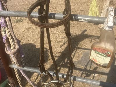 Brown Leather Horse Bridle with Metal Bit and Reins