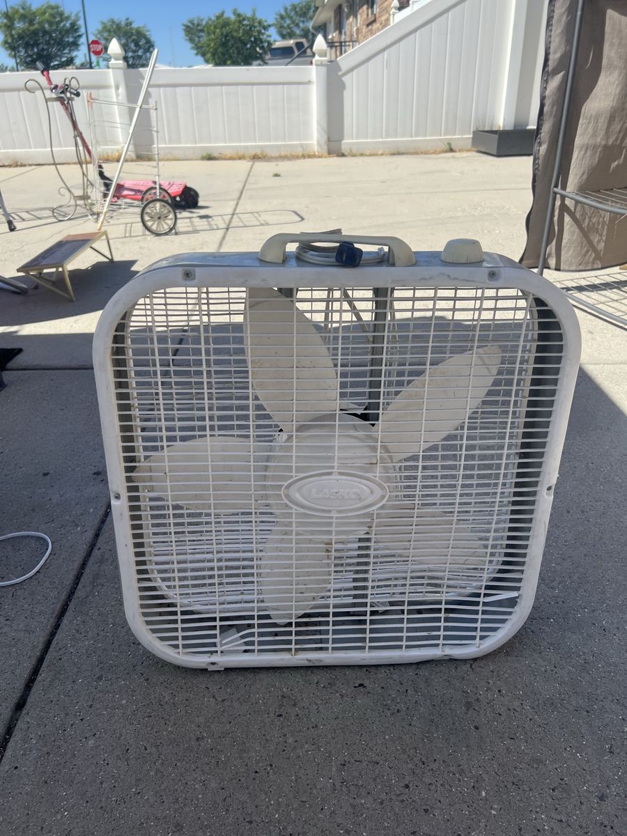 Fan