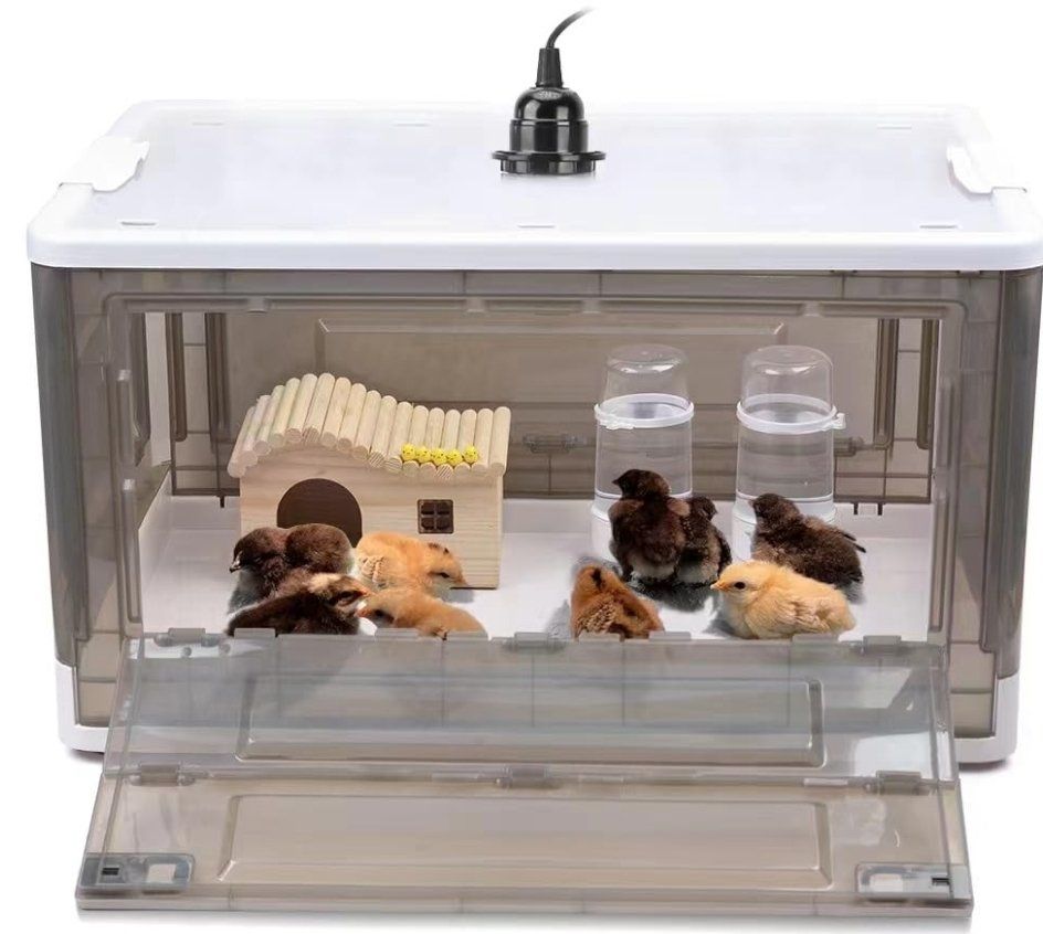 Brooder Box for Up To 15 Chicks (20″x14″x12″)