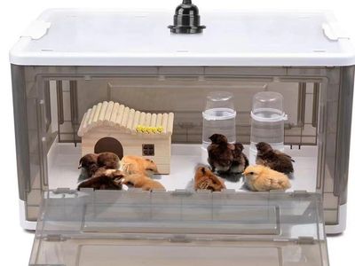 Brooder Box for Up To 15 Chicks (20″x14″x12″)