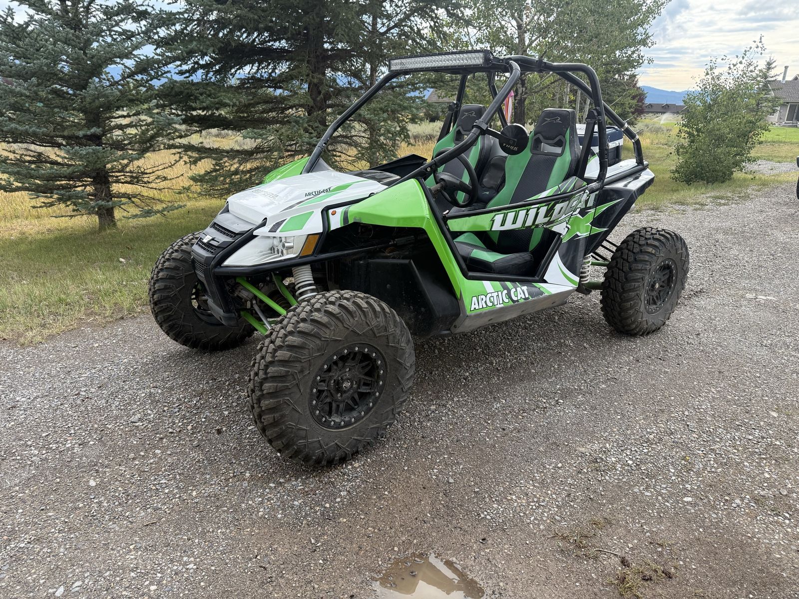 2015 Artic Cat Wild cat 1000 x
