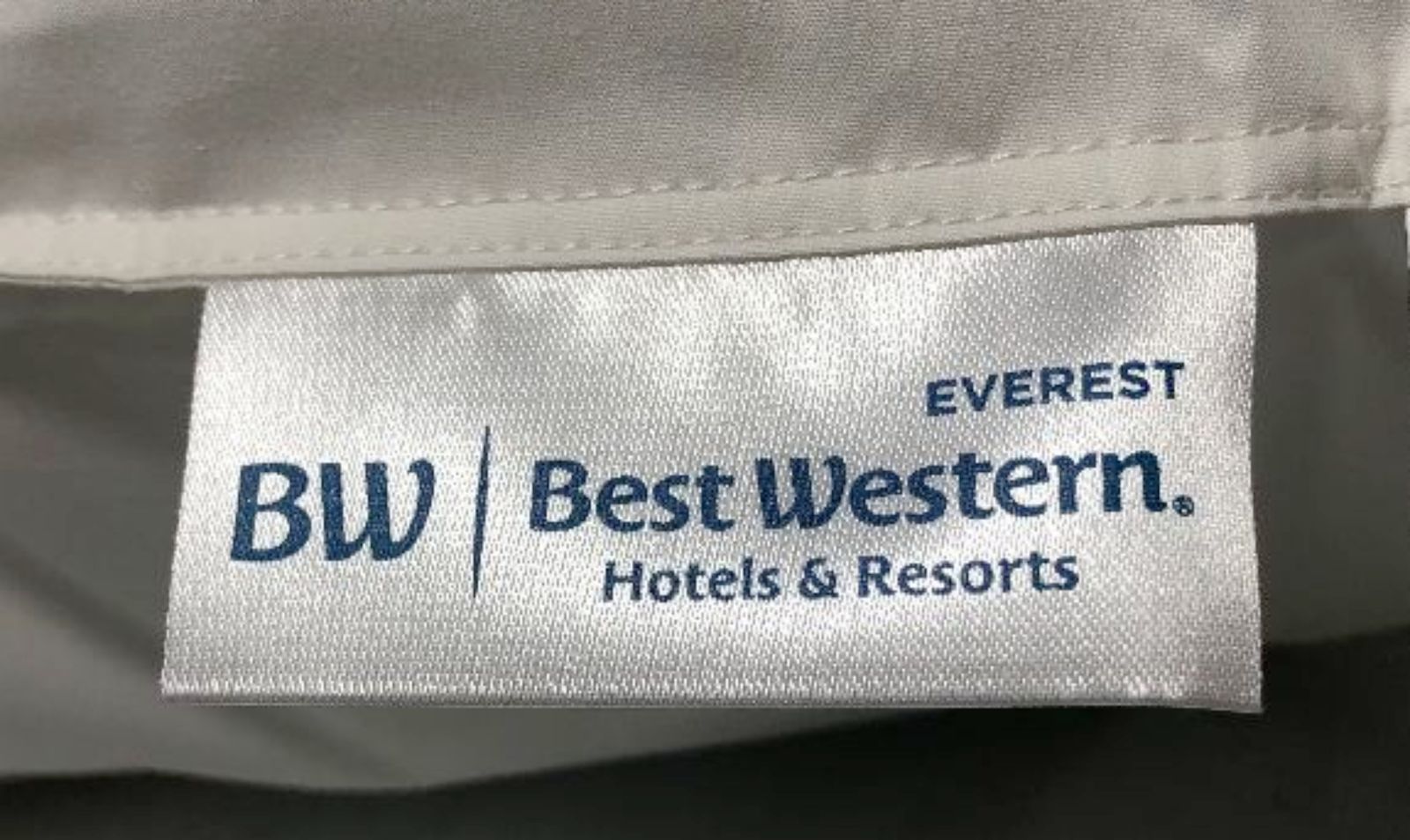 Best Western Everest Down Alternative Pillow - Queen size (20 in x 30 in) - Customer Return Clearance