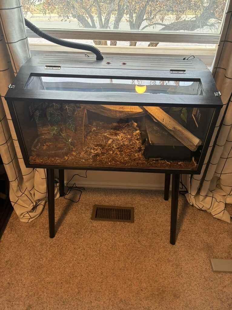 40 gallon Snake Enclosure With Ball Python