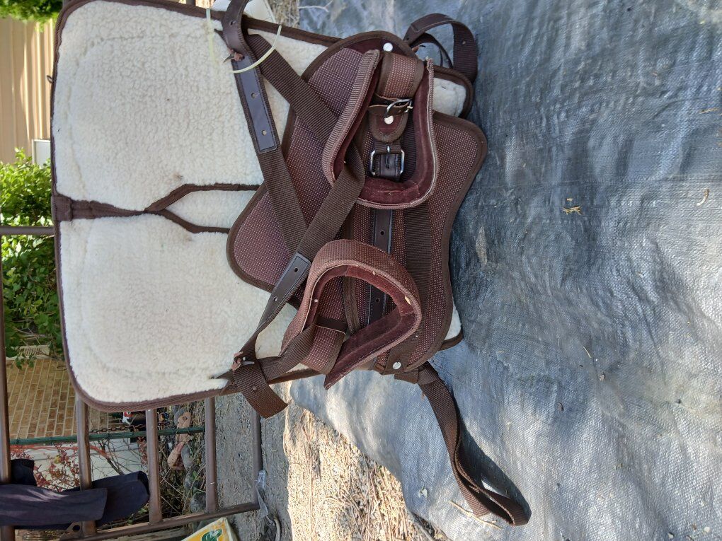 Horse Saddle