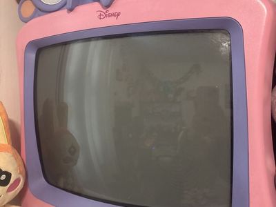 Disney princess crt tv