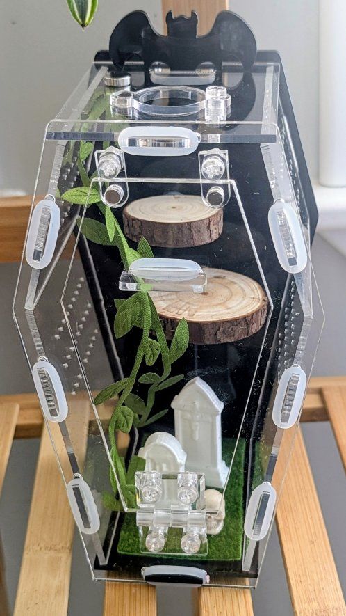 Jumping spider enclosure, spider coffin house, spider terrarium for bold or regal. No spider