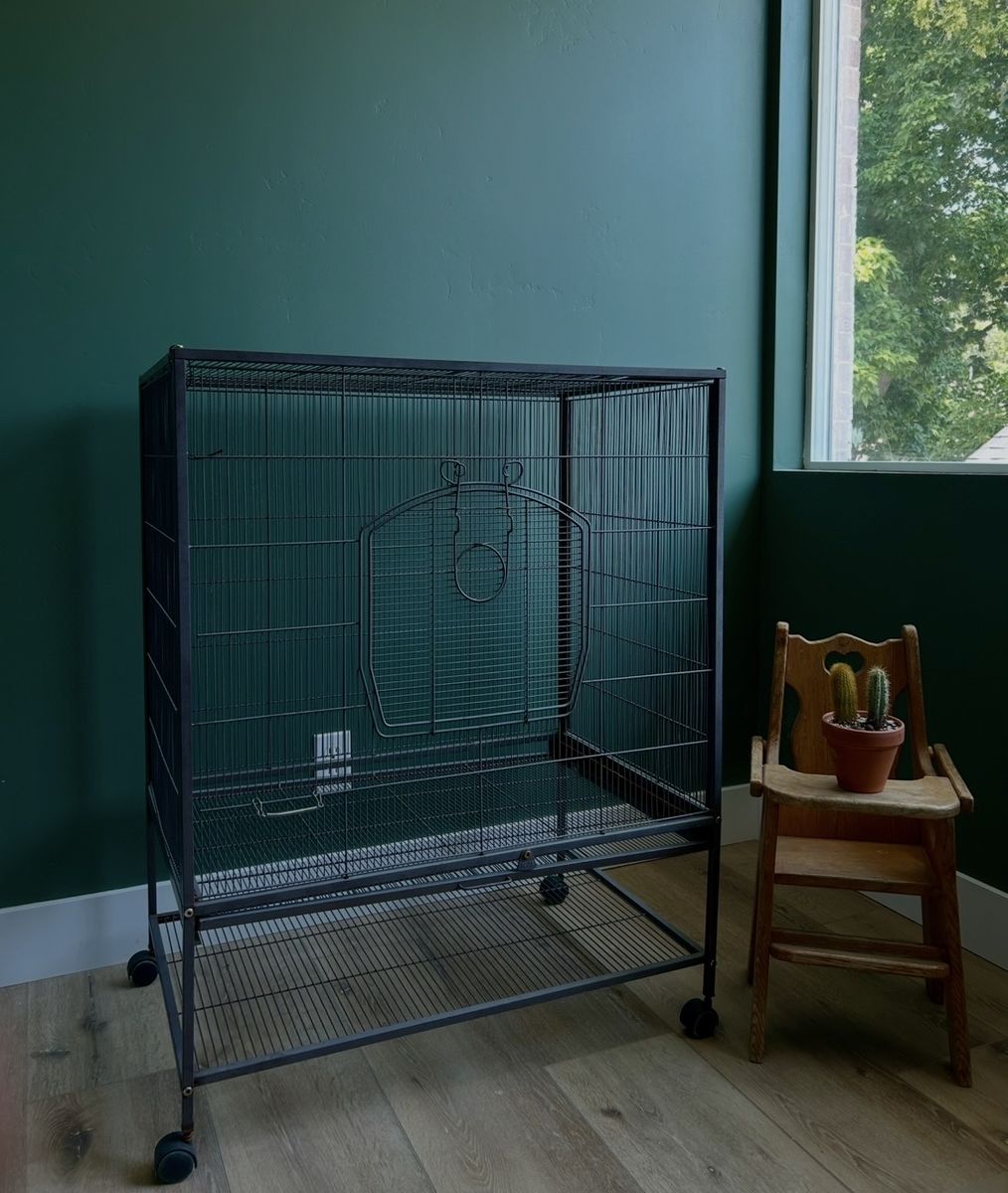 Vintage Bird Cage!