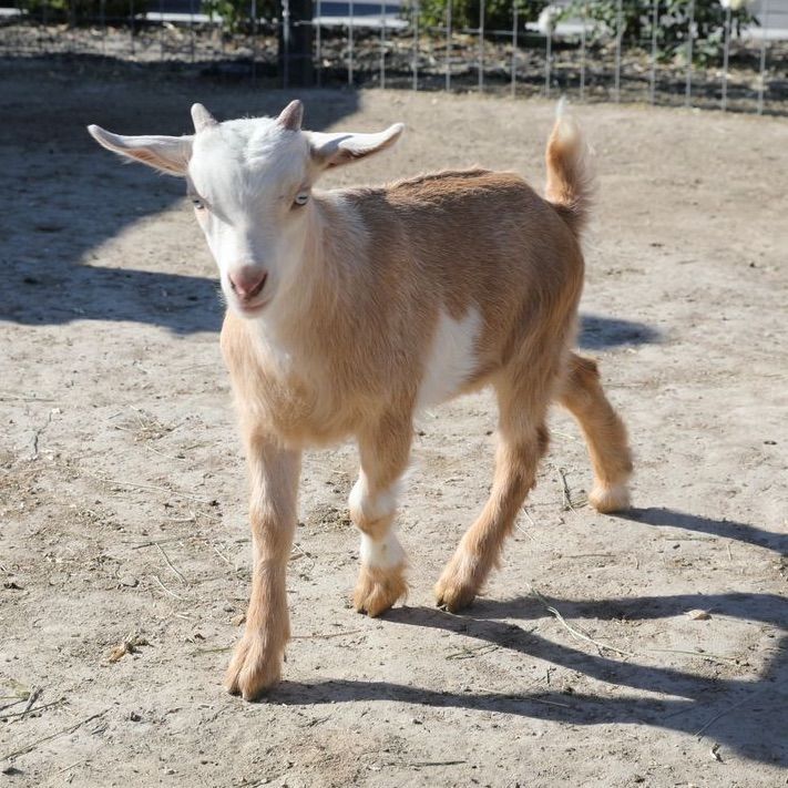 Main image 3
