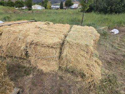 Hay bales