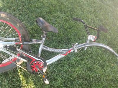 WeeRide Co-Pilot XT Tag-Along Trailer Bike - Silver/Red