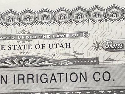 Western Irrigation Water Shares