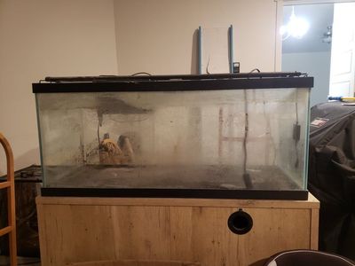 75 Gallon Aquarium