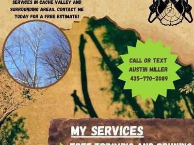 Tree Care Services