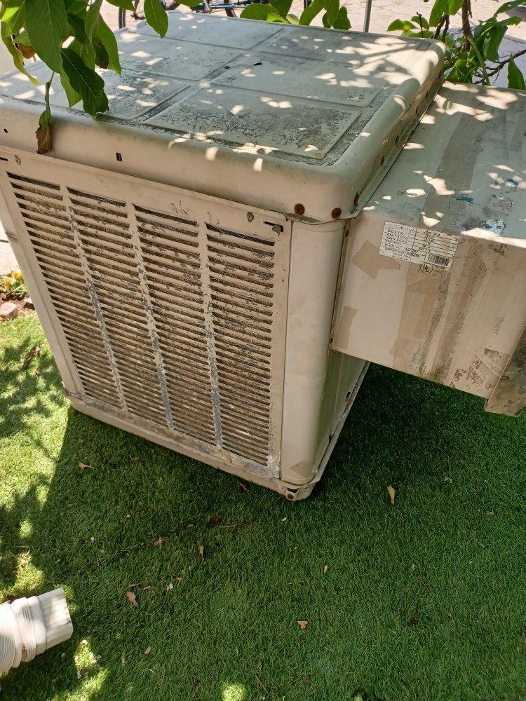 Main image 2