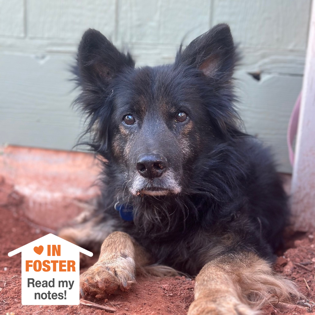 Hello my name is Thunder